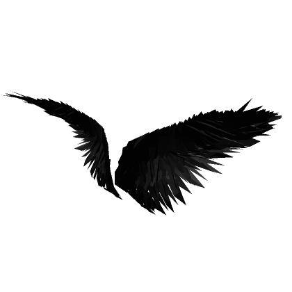 Black Deadly Dark Wings