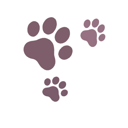 Playful Pink Paw Print