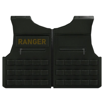 Park LEO Load-bearing vest