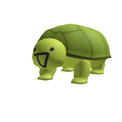 Turtle Shelly 2.0