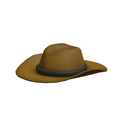 Cowboy Hat