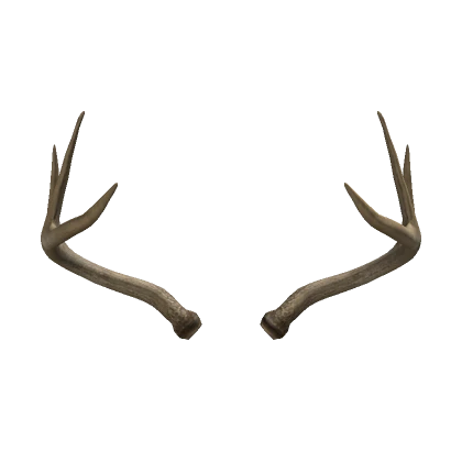 Wendigo Antlers