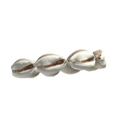 3.0 Left Cowrie Shell Bracelet