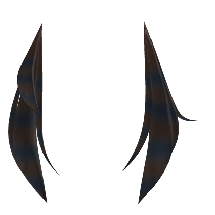 Asymmetrical blue & brown raccoon tails