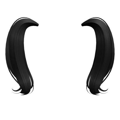 Black Pigtails Hair