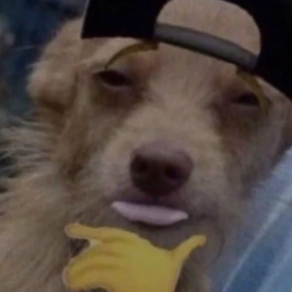 Swag Dog Drip Pfp