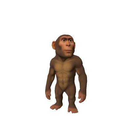 Handsome Monkey