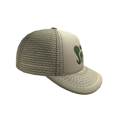 SIDEWAYS SPIRIT TRUCKER CAP -- BEIGE / GREEN