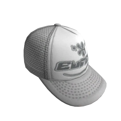 BACKWARDS EUREKA TRUCKER CAP -- SILVER
