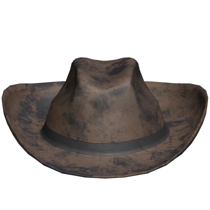 Cowboy Hat Damaged