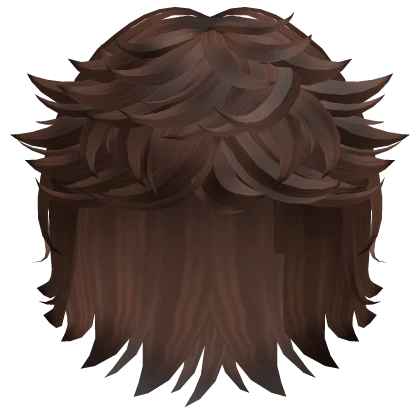 Fluffy Layered Messy Cool Boy Hair (Brown) 