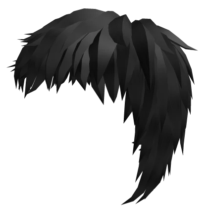 π΅ Black Mullet Boy Hair