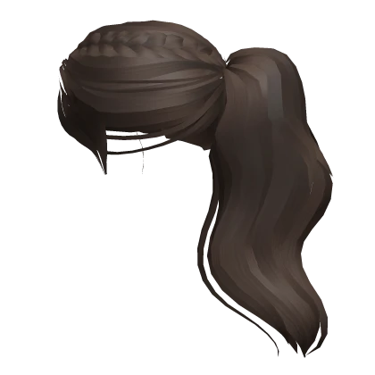 Ponytail with Braids - Brown