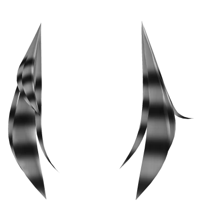 Asymmetrical white & black raccoon tails