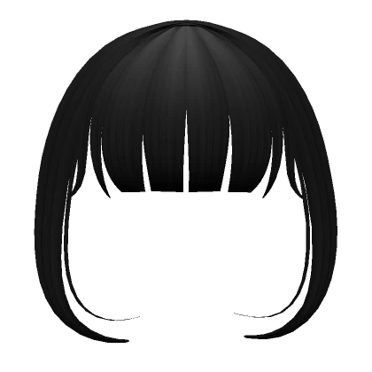 Aesthetic black fringe w/ bangs