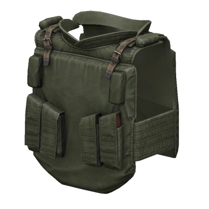 6B5 "Olive" Body Armor