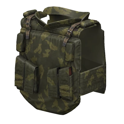 6B5 "Berezka" Body Armor