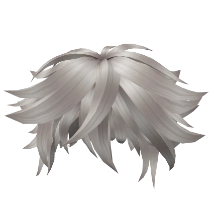 silver messy hair anime season 13