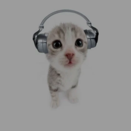 Cute Cat Headphones Pfp