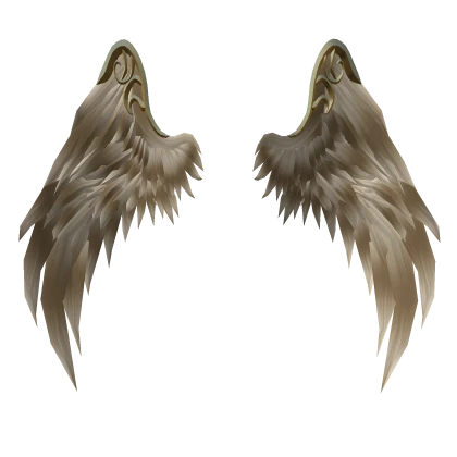 Wings