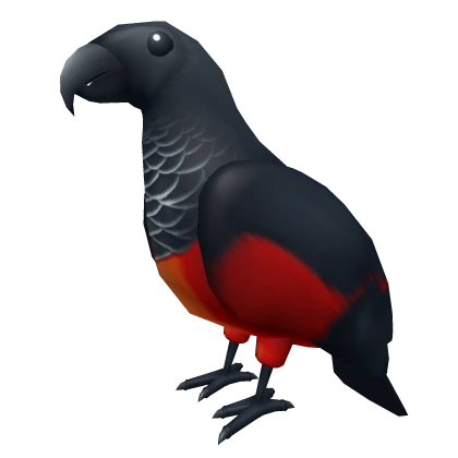 Dracula Parrot