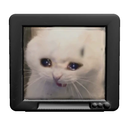 TV Cat 2000