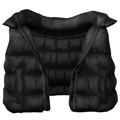 Black Puffer Vest