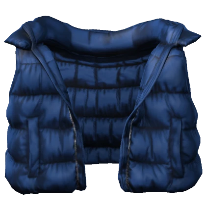 Blue Puffer Vest