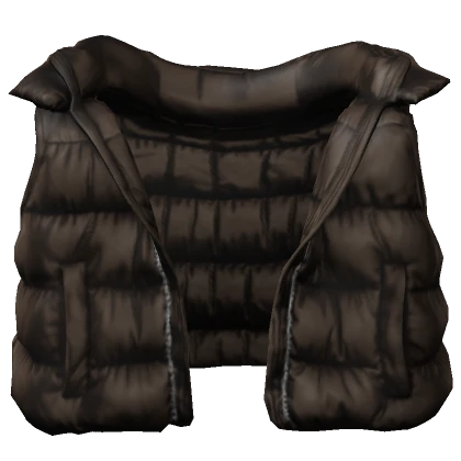 Brown Puffer Vest