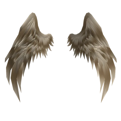 Wings