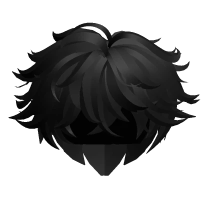 Black Fluffy Messy Anime Boy Hair