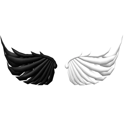 Black and White Wings