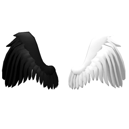 Black and White Wings