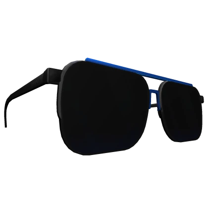 ✅ Sunglasses