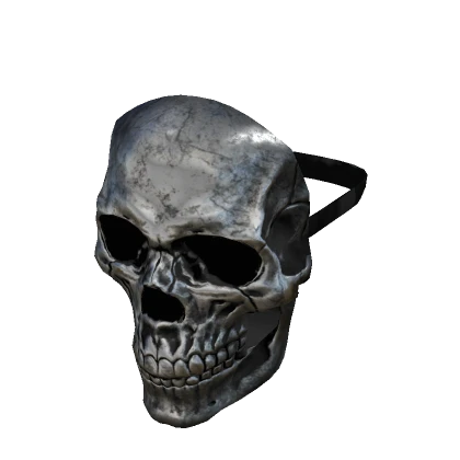 Metallic Skull Mask