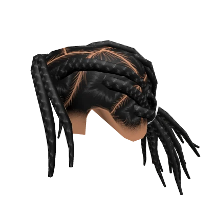 Rocky Braids 
