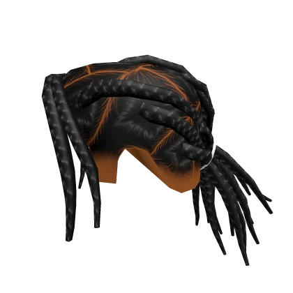 Rocky Braids