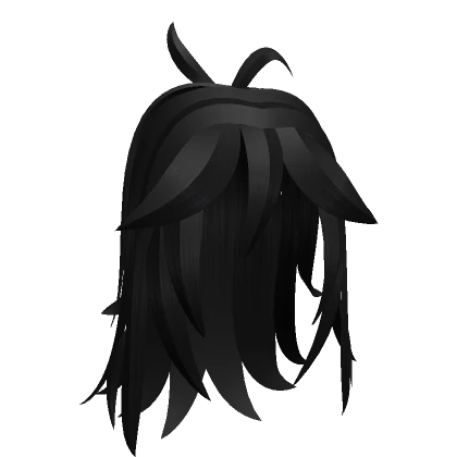 Cute Long Hair Fluffy [BLACK]