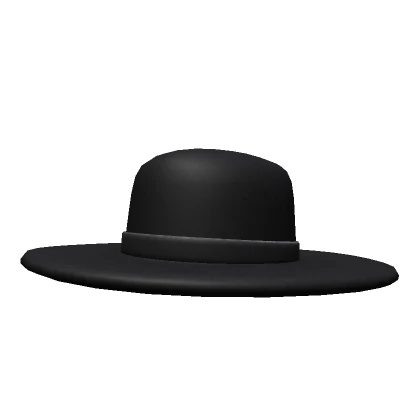 black wide brim hat