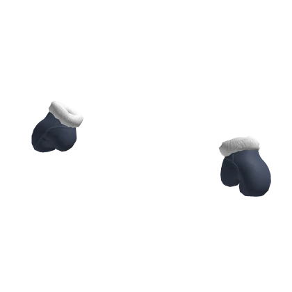 Fur Winter Gloves - Blue