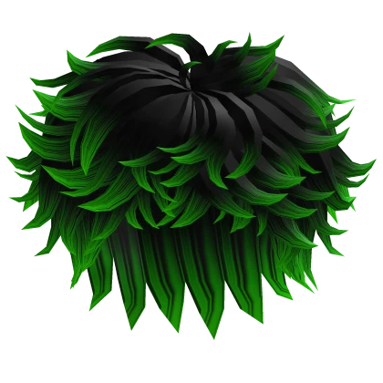 Black and Green Fluffy Messy Hair