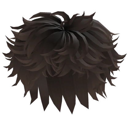 Dark to Lighter Brown Fluffy Messy Hair