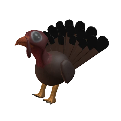 Turkey Pal