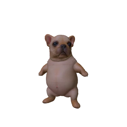 Wash My Bellay Pibble Dog