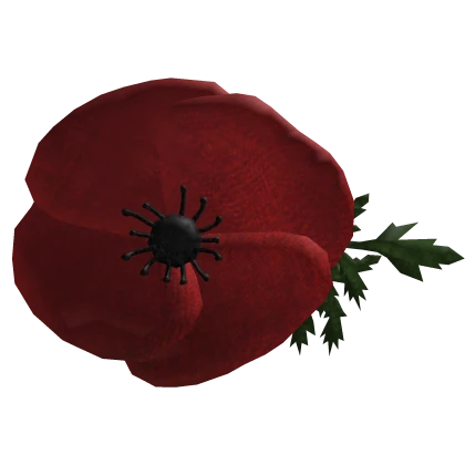 Rememberance Poppy