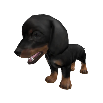 Dog Dachshund Puppy