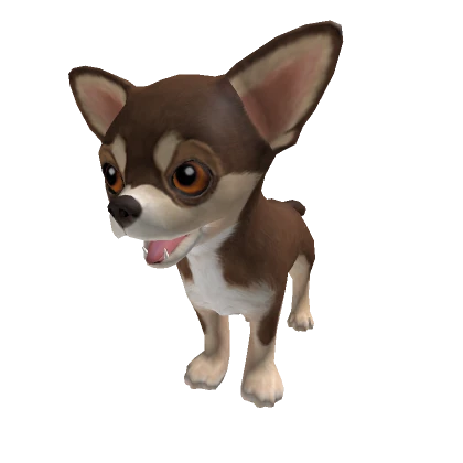 Dog Chihuahua Puppy