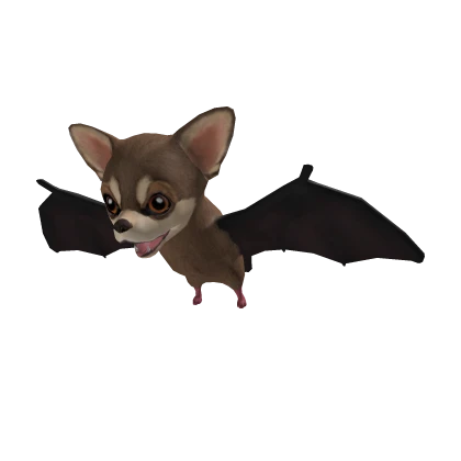 Dog Chihuahua Bat