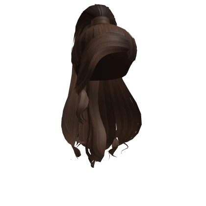 Ari's High Ponytail with Side Bangs in Brown