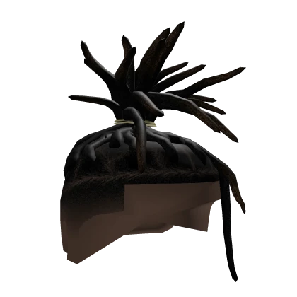 Jaden Locs 